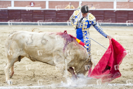 Stierkampf in San Sebastián de los Reyes