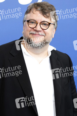 'The Shape of Water' Photocall, 74. Internationale Filmfestspiele von Venedig
