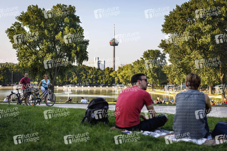 Symbolfoto Grünflächen