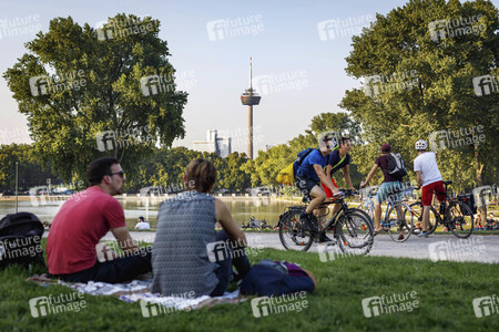 Symbolfoto Grünflächen