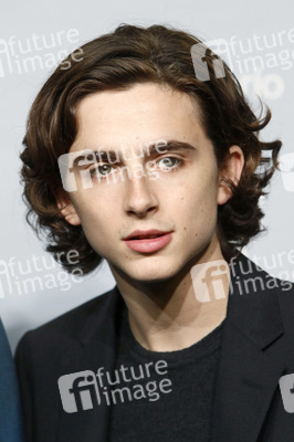 'Call Me by Your Name' Photocall, Toronto International Film Festival 2017
