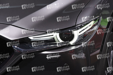 IAA Pkw 2017 in Frankfurt