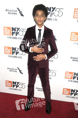 'Wonderstruck' Premiere, New York Film Festival 2017