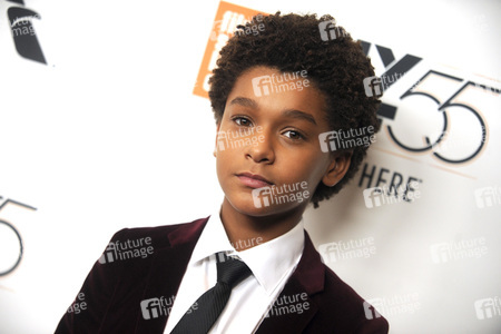'Wonderstruck' Premiere, New York Film Festival 2017