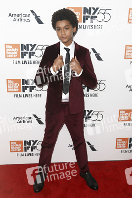 'Wonderstruck' Premiere, New York Film Festival 2017