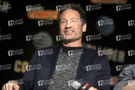 'The X Files' Panel, New York Comic Con 2017