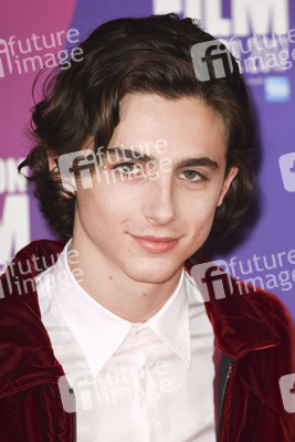 'Call Me by Your Name' Photocall, BFI London Film Festival 2017