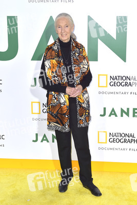 Filmpremiere 'Jane' in Los Angeles