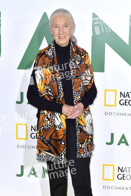 Filmpremiere 'Jane' in Los Angeles
