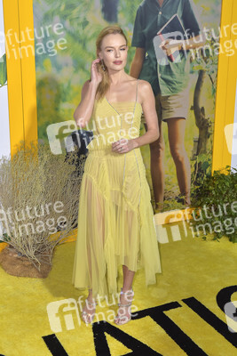 Filmpremiere 'Jane' in Los Angeles