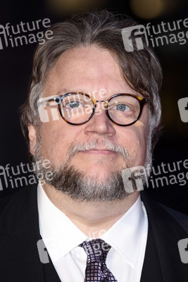 'The Shape of Water' Premiere, BFI London Film Festival 2017