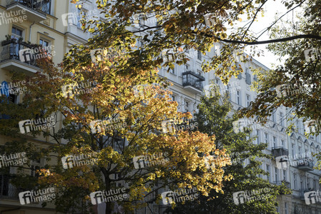 Symbolfoto Herbst