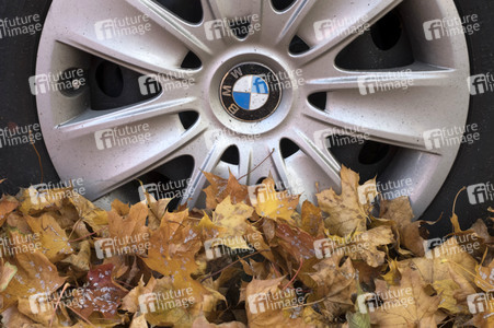 Symbolfoto Herbst