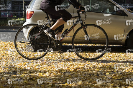 Symbolfoto Herbst