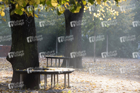 Symbolfoto Herbst