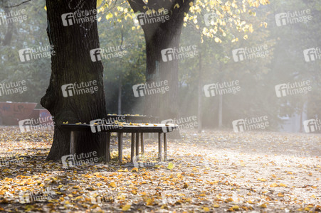 Symbolfoto Herbst