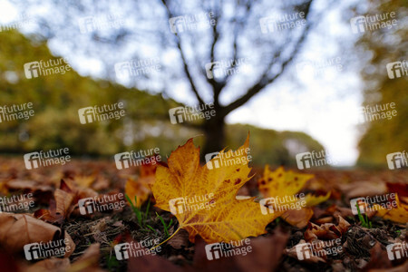 Symbolfoto Herbst