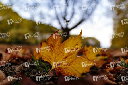 Symbolfoto Herbst