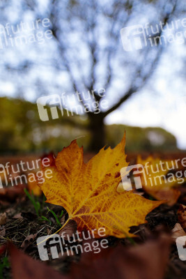 Symbolfoto Herbst