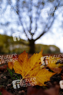 Symbolfoto Herbst
