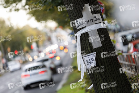 Baum-Aktivisten in Köln