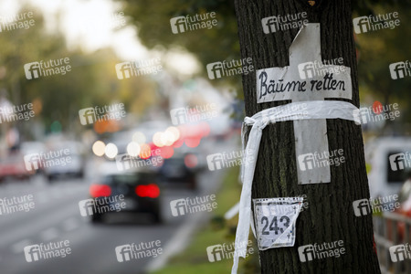 Baum-Aktivisten in Köln