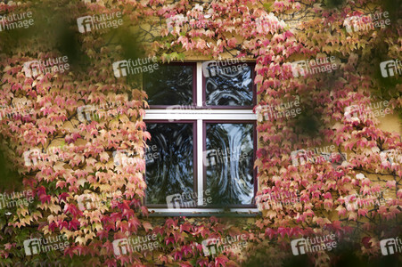 Symbolfoto Herbst