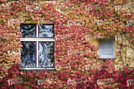 Symbolfoto Herbst