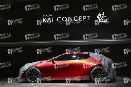 Tokyo Motor Show 2017 in Tokio