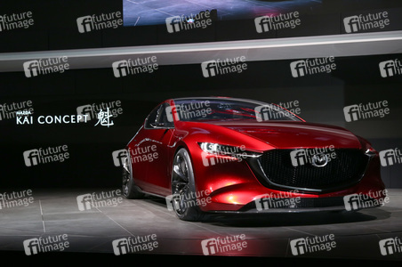 Tokyo Motor Show 2017 in Tokio