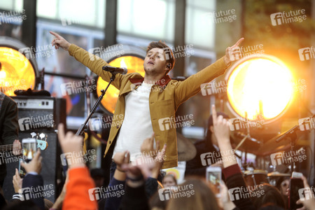 Konzert von Niall Horan in New York