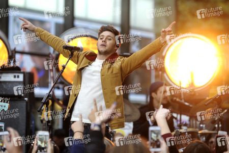 Konzert von Niall Horan in New York