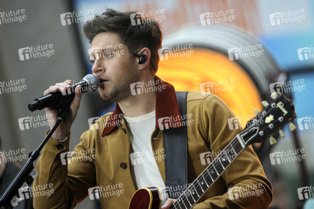 Konzert von Niall Horan in New York