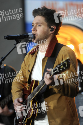 Konzert von Niall Horan in New York