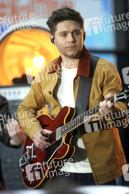 Konzert von Niall Horan in New York