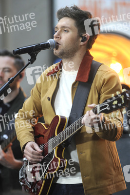 Konzert von Niall Horan in New York
