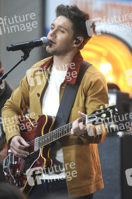 Konzert von Niall Horan in New York