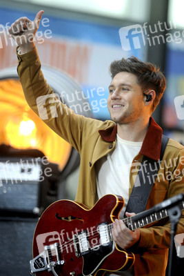 Konzert von Niall Horan in New York