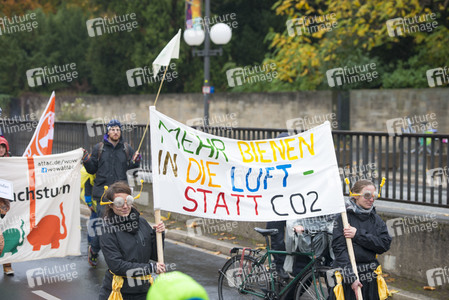 Klima-Karnevals-Demo in Bonn