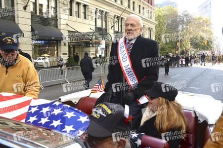 Veterans Day Parade 2017 in New York