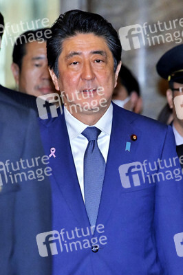 Plenarsitzung mit Shinzo Abe  in Tokio