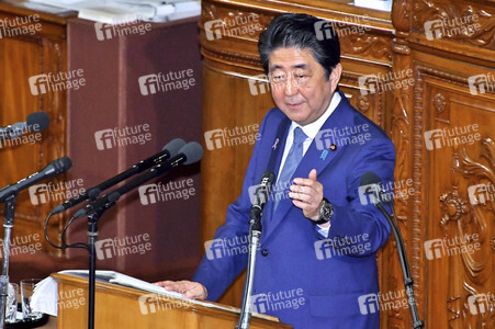 Plenarsitzung mit Shinzo Abe  in Tokio
