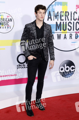 American Music Awards 2017 in Los Angeles
