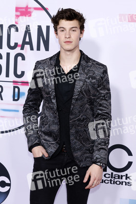 American Music Awards 2017 in Los Angeles