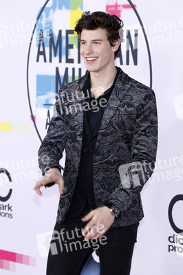 American Music Awards 2017 in Los Angeles