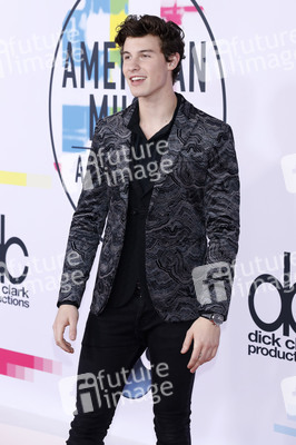 American Music Awards 2017 in Los Angeles