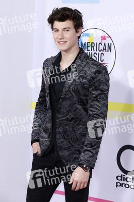 American Music Awards 2017 in Los Angeles