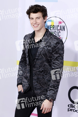 American Music Awards 2017 in Los Angeles