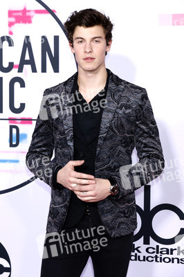 American Music Awards 2017 in Los Angeles
