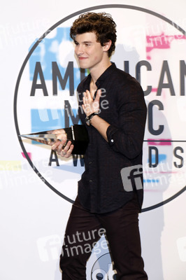 American Music Awards 2017 in Los Angeles